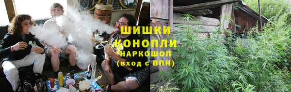 apvp Алзамай