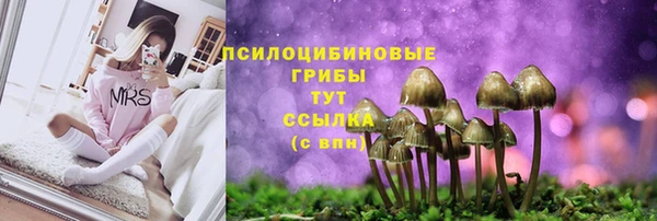 a pvp Алексеевка