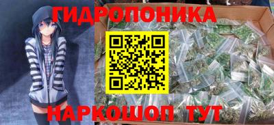 Альфа ПВП Малгобек