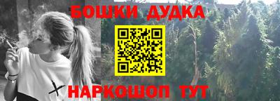 Альфа ПВП Малгобек