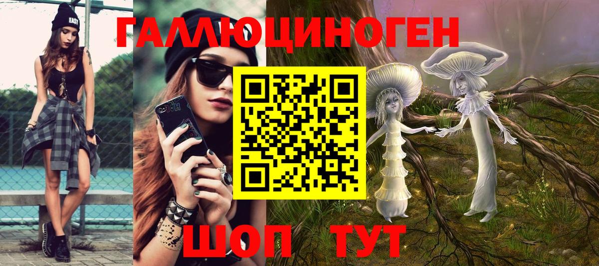 Псилоцибиновые грибы Psilocybine cubensis Чапаевск
